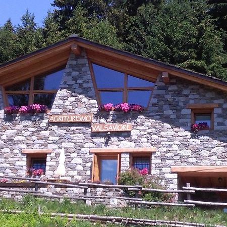 Agriturismo Valsaviore Cevo Экстерьер фото