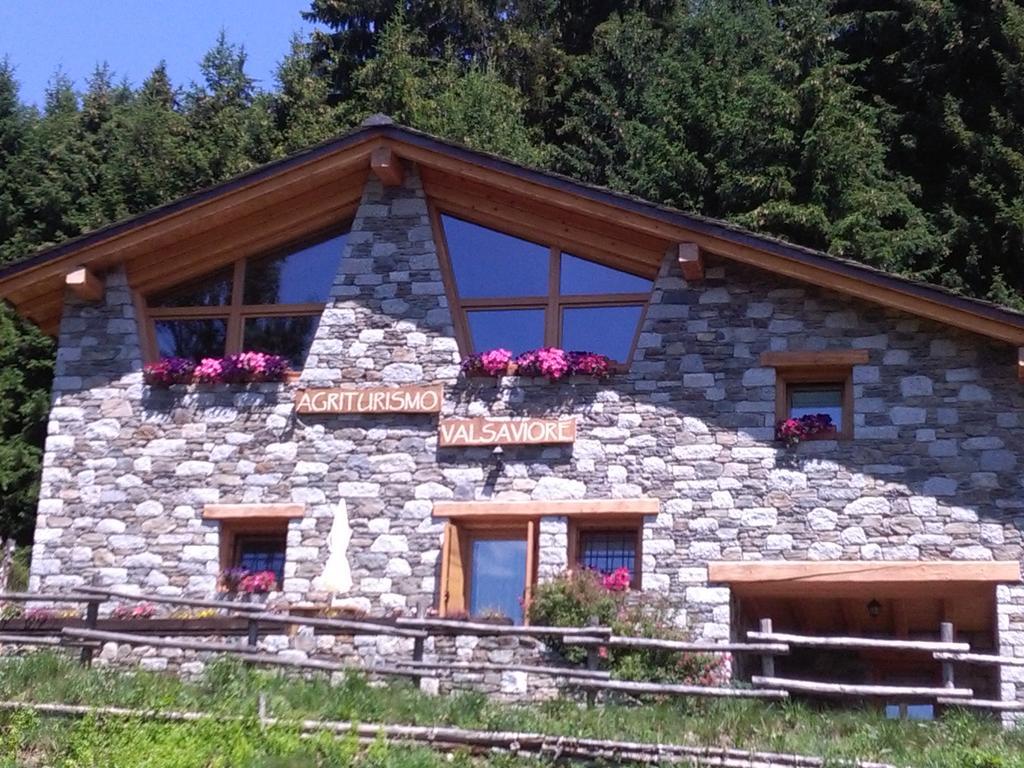 Agriturismo Valsaviore Cevo Экстерьер фото