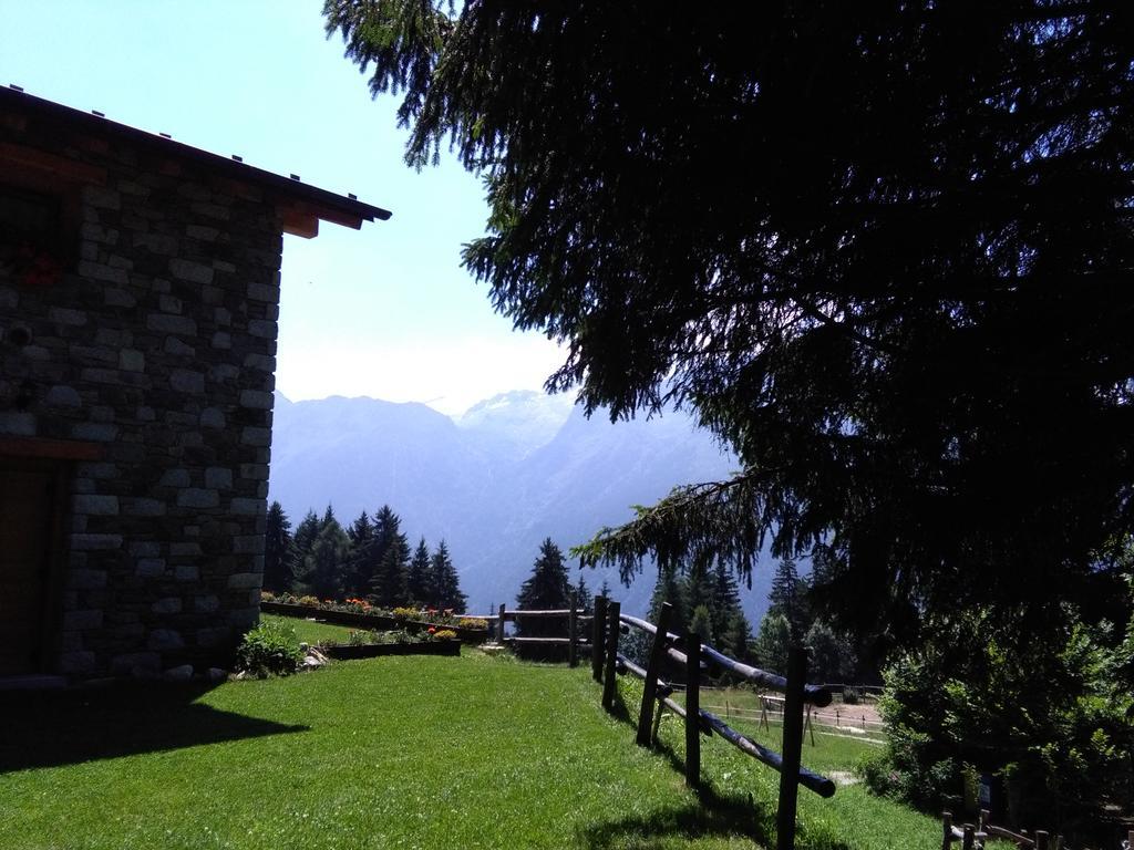 Agriturismo Valsaviore Cevo Экстерьер фото