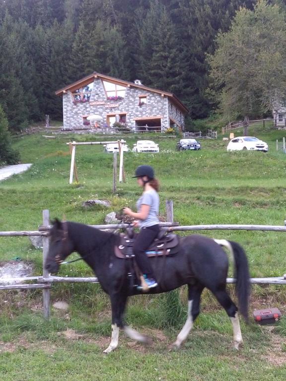 Agriturismo Valsaviore Cevo Экстерьер фото